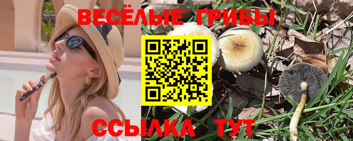 Галлюциногенные грибы мухоморы  где продают наркотики  Топки  Вход с VPN  Псилоцибиновые грибы Magic Shrooms 