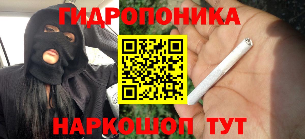 Бошки Шишки планчик Топки